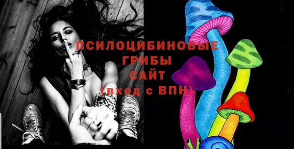 герыч Туринск