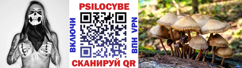 Галлюциногенные грибы MAGIC MUSHROOMS  кракен как войти  Владивосток 